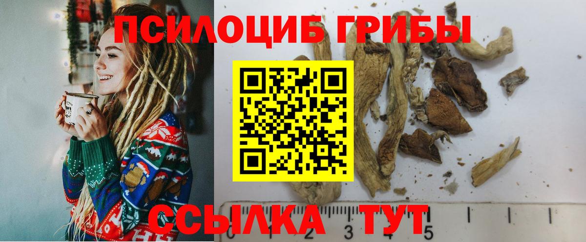 Псилоцибиновые грибы Magic Shrooms  Псилоцибиновые грибы GOLDEN TEACHER  Вход с VPN  Лянтор 